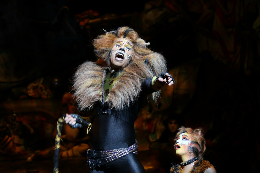 RCI Oasis Class Theatre CATS 1.jpg